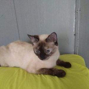 Meet your Posher, Judy